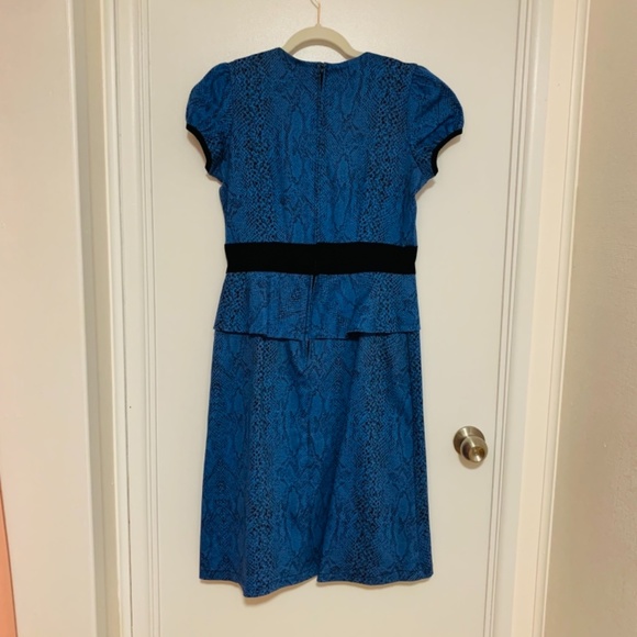 Damzels in Dress original - Picture 3 of 3